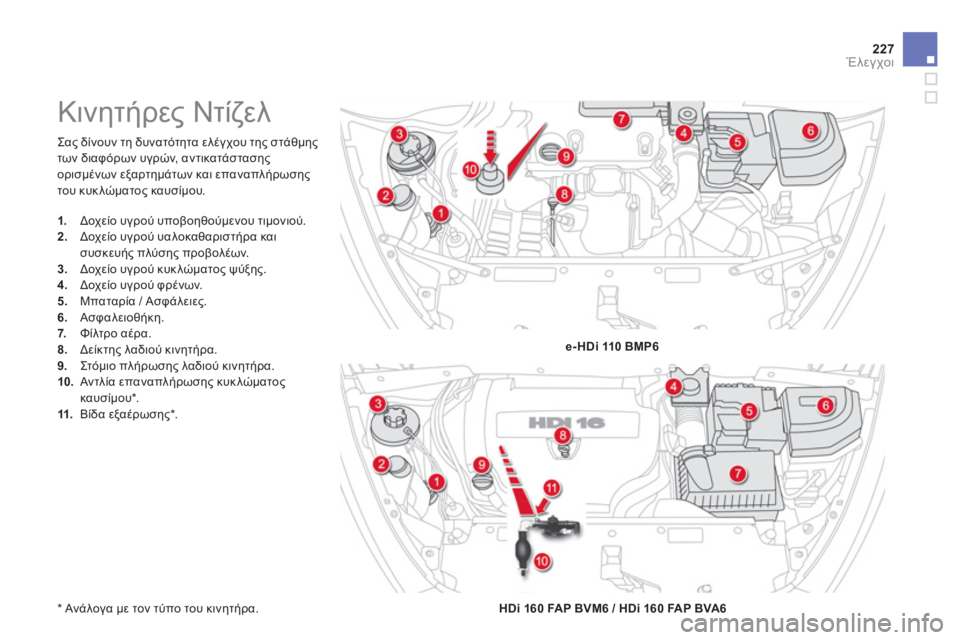 CITROEN DS5 2013  ΟΔΗΓΌΣ ΧΡΉΣΗΣ (in Greek) 227Έλεγχοι
  Σας δίνουν τη δυνατότητα ελέγχου της στάθμης 
των διαφ
όρων υγρών, αντικατάστασηςορισμένων εξαρτη
