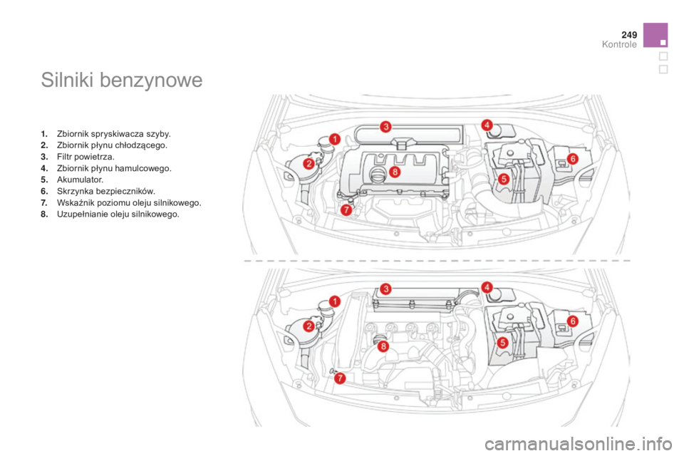 CITROEN DS3 2015  Instrukcja obsługi (in Polish) 249
Ds3_pl_ chap11_verifications_ed01-2014
silniki benzynowe
1. Zbiornik spryskiwacza szyby.
2. Z
biornik płynu chłodzącego.
3.
 F

iltr powietrza.
4.
 Z

biornik płynu hamulcowego.
5.
 

a
ku
 mu