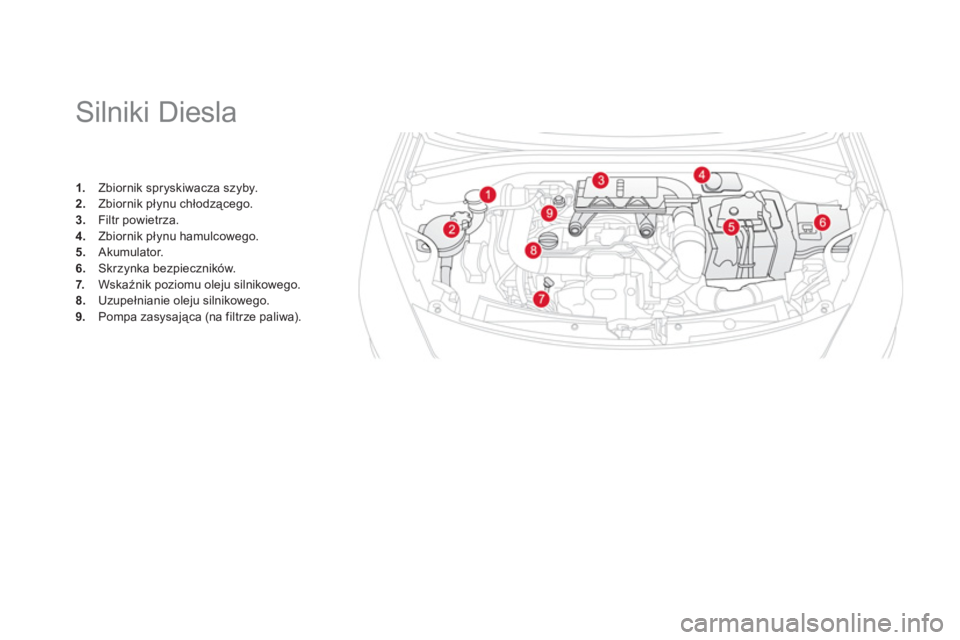 CITROEN DS3 2011  Instrukcja obsługi (in Polish)    
 
 
 
 
 
 
 
 
 
 
 
 
Silniki Diesla 
1. 
 Zbiornik spryskiwacza szyby. 2. 
 Zbiornik płynu chłodzącego.3. 
 Filtr powietrza. 
4. 
 Zbiornik płynu hamulcowego.5. 
 Akumulator. 
6.Skrzynka be