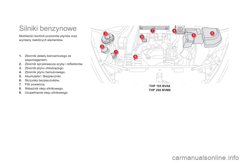 CITROEN DS5 2013  Instrukcja obsługi (in Polish) Możliwość kontroli poziom