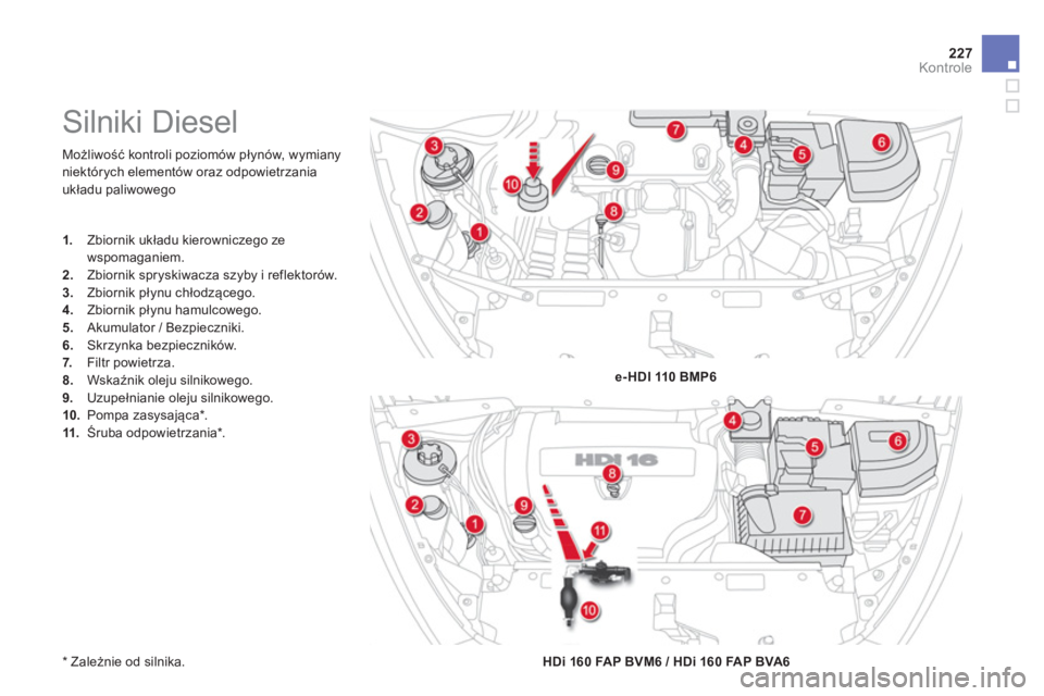 CITROEN DS5 2013  Instrukcja obsługi (in Polish) 227Kontrole
  Możliwość kontroli poziom