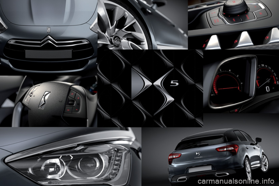 CITROEN DS5 2013  Instrukcja obsługi (in Polish) 