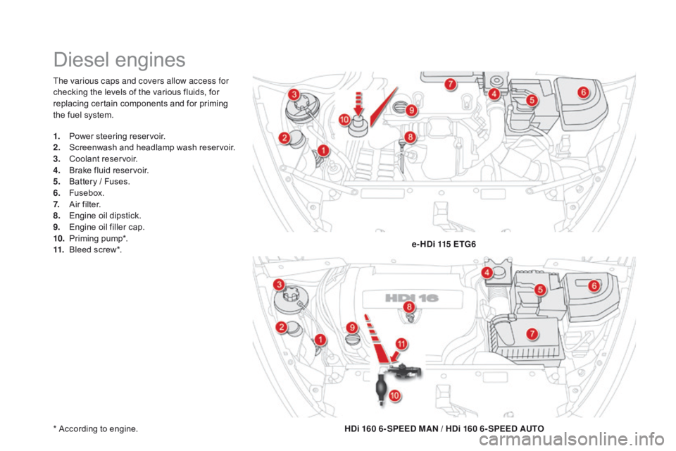 CITROEN DS5 2016 Owners Manual DS5_en_Chap09_verifications_ed01-2015
The various caps and covers allow access for
checking the levels of the various fluids, for
replacing certain components and for priming
the fuel system.
* Acc CITROEN DS5 2016 Owners Manual DS5_en_Chap09_verifications_ed01-2015
The various caps and covers allow access for
checking the levels of the various fluids, for
replacing certain components and for priming
the fuel system.
* Acc